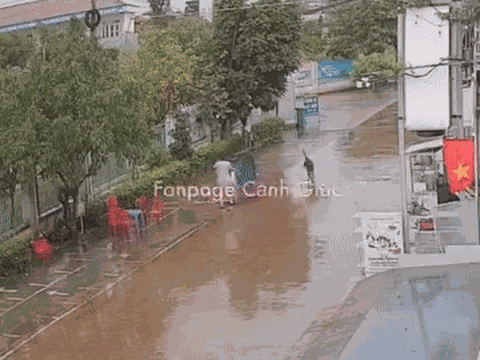 Clip: Thót tim cảnh 3 mẹ con bị chó becgie lao đến giữa đường mưa, may mắn thoát nạn nhờ một vật bất ngờ