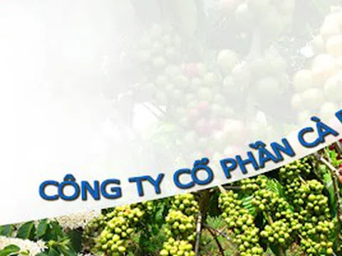 Cổ phiếu bị cảnh báo, PCF đưa ra giải trình và phương án khắc phục