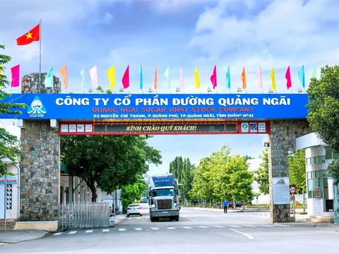 CTCP Đường Quảng Ngãi (UPCoM: QNS) lãi kỷ lục trong năm 2023