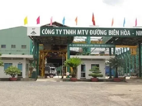 Công ty con của Thành Thành Công - Biên Hòa báo lãi bán niên 2023 hơn 20 tỷ đồng