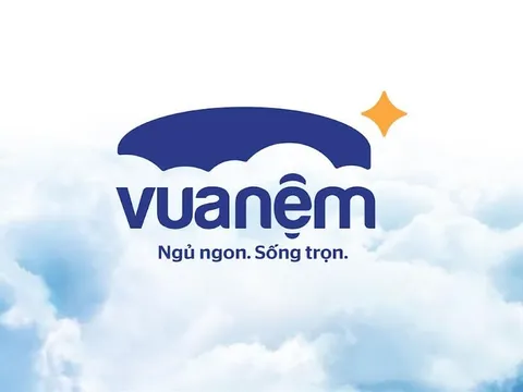 Kết thúc năm 2023, Vua Nệm báo lỗ gần 80 tỷ đồng