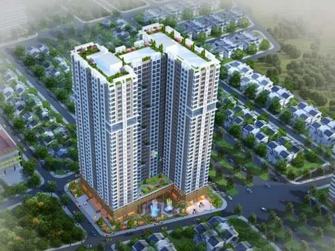 SHN thông qua kế hoạch kinh doanh cho năm mới, quý I/2024 lãi gấp 3 cùng kỳ