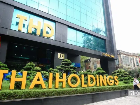 Thaiholdings sẽ thoái vốn khỏi Thaigroup, không còn là công ty mẹ