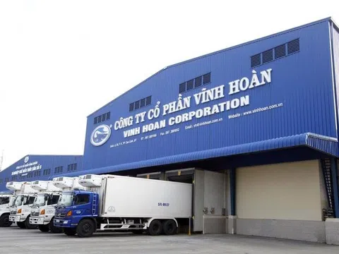 Doanh thu từ thị trường nội địa của Vĩnh Hoàn tăng trưởng mạnh