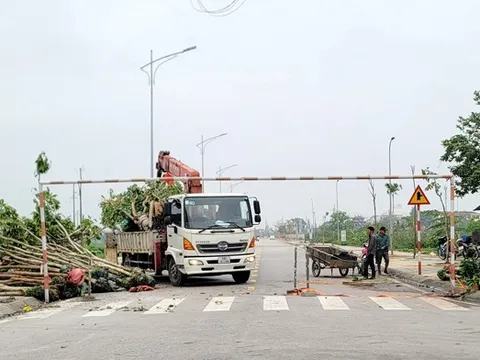 Bộ Công an: Công ty cây xanh Công Minh thông đồng trúng thầu hàng nghìn tỷ