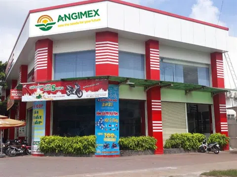 Angimex sắp bán 7 tài sản đảm bảo để lấy tiền trả nợ cho trái chủ