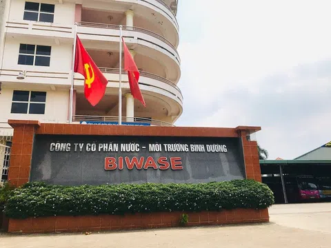 Cuộc viễn chinh ngành nước của Biwase