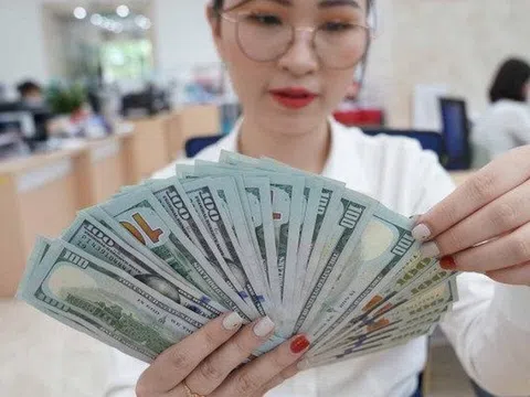 Tỷ giá USD phục hồi sau 1 tuần giao dịch biến động