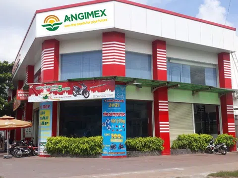 Angimex: Hoạt động kinh doanh vẫn chưa tạo được lợi nhuận