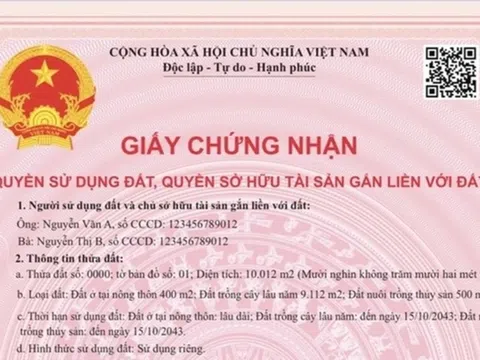 Sổ hồng mới và những lưu ý để tránh rủi ro khi giao dịch