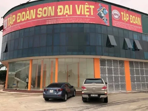 Vì sao Đại Việt Group DVG bị đưa vào diện hạn chế giao dịch?