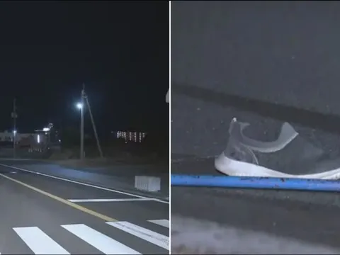 Cụ bà 84 tuổi lái xe tông chết người đàn ông 86 tuổi vì tưởng là... chó hoang