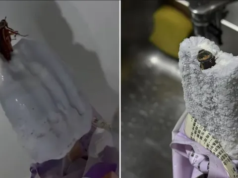 "Hết hồn" khi thấy "Tiểu Cường" nhô đầu ra khỏi que kem