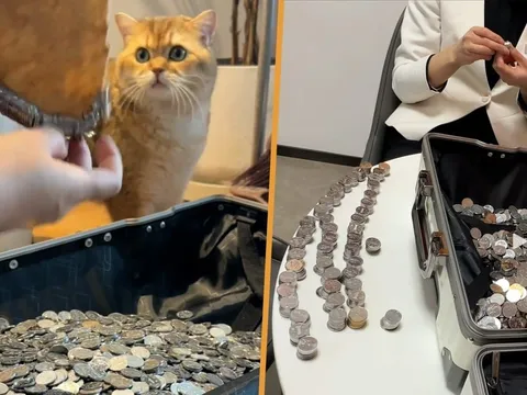 "Trả đũa" dịch vụ kém, người phụ nữ thanh toán bằng 6.000 đồng xu khiến nhân viên đếm tiền "mỏi mắt"