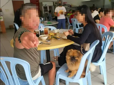 Bị nhắc nhở vì để chó cưng ngồi trên ghế, người đàn ông "điên tiết" chửi bới, đe dọa đánh người