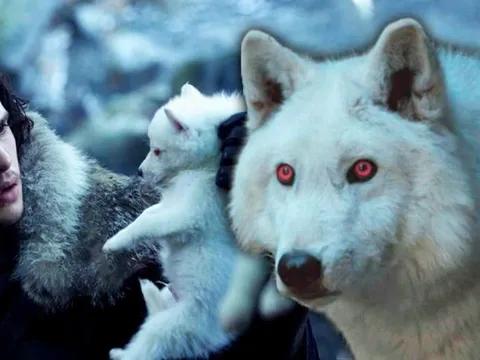 Sói khổng lồ trong loạt phim "Game of Thrones" được hồi sinh ngoài đời thực sau 12.500 năm