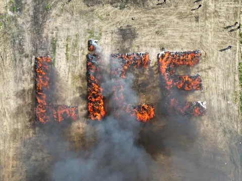 Cả thị trấn “phê tập thể” sau khi cảnh sát đốt hơn 20 tấn cần sa giữa trung tâm