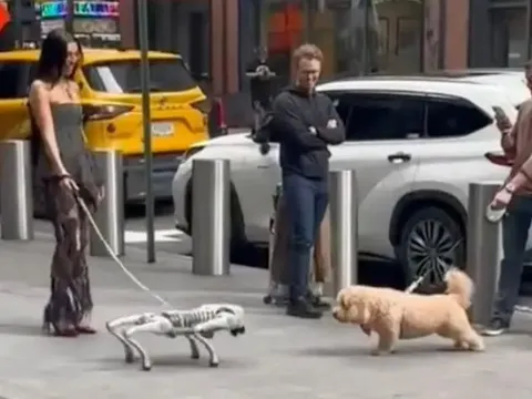 Clip: Chó robot "dọa" chó thật chạy khiếp vía giữa phố