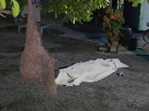 Bị đuổi khỏi nhà, cụ ông 84 tuổi dùng súng bắn chết cả vợ và con