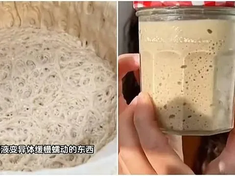 "Nuôi" men nở làm... thú cưng, trào lưu mới khiến giới trẻ Trung Quốc mê mẩn