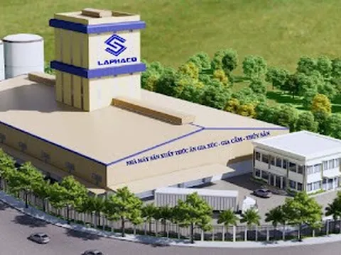 Lam Cường: Nâng tầm giá trị chăn nuôi Việt bằng công nghệ và dinh dưỡng chuẩn quốc tế