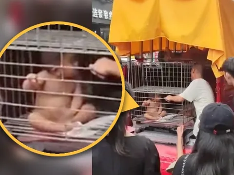 Cha nhốt con trần truồng trong lồng sắt giữa trời nóng: Dân mạng phẫn nộ, chính quyền vào cuộc