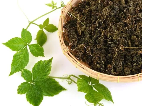 Loại trà "đắng trước, ngọt sau" giúp "trẻ lâu" gấp 8 lần trà xanh, cực tốt cho gan và thận, ai cũng nên uống mỗi ngày