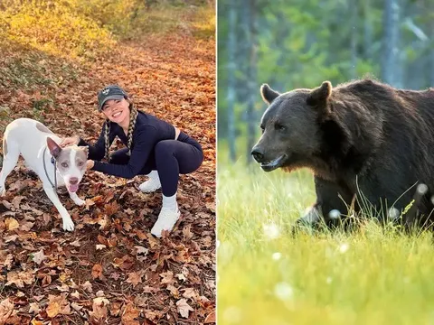 Chỉ với 1 vật dụng đơn giản, cô gái dũng cảm đánh đuổi gấu dữ để cứu chú chó cưng