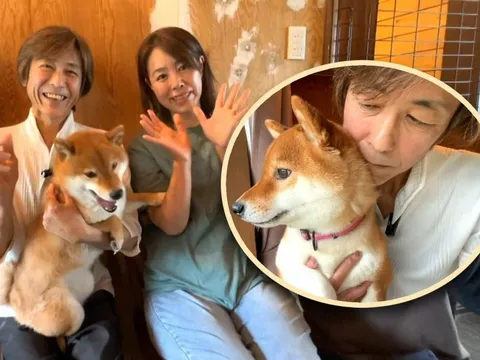 Cảm động người đàn ông bán cả siêu xe Ferrari để nuôi đàn chó dữ: “Chúng từng cứu tôi, giờ là lúc trả ơn”