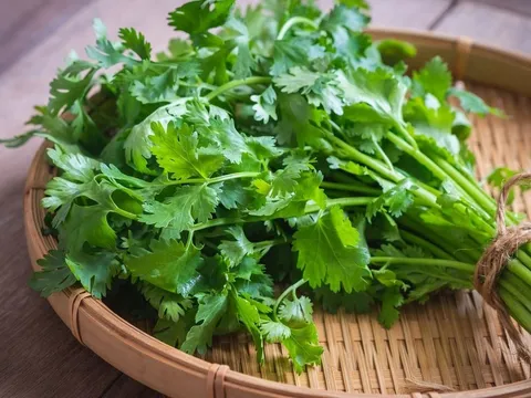 Loại rau thơm quen thuộc tưởng lành mà độc, ai thuộc nhóm này nên tránh xa kẻo "rước họa vào thân"