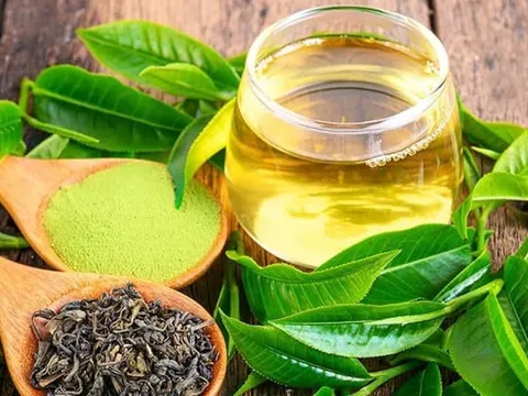 Tưởng bổ, hóa ra độc: Khi trà xanh và nghệ lại trở thành “hung thần” của gan
