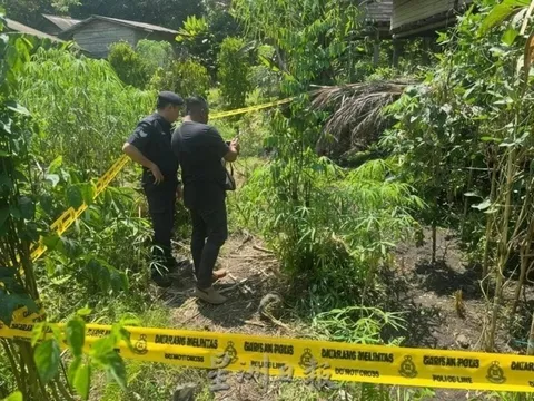 Nhìn nhầm người thành thú, cụ ông nổ súng gây chết người