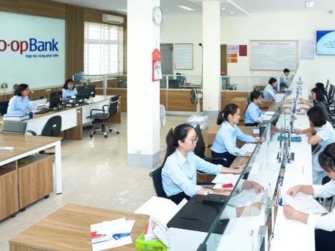 “Mạch ngầm” giữ hệ thống quỹ tín dụng hoạt động an toàn