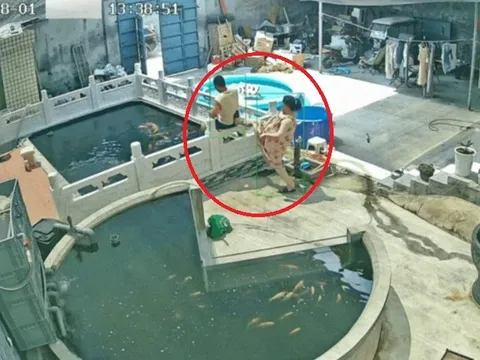 Camera ghi lại cảnh vợ thẳng chân đạp chồng xuống hồ cá, nghe lý do mà dở khóc dở cười