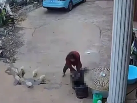 Camera ghi lại khoảnh khắc đau lòng: Bé trai ngã úp mặt vào xô nước, khi người bà phát hiện ra thì đã quá muộn