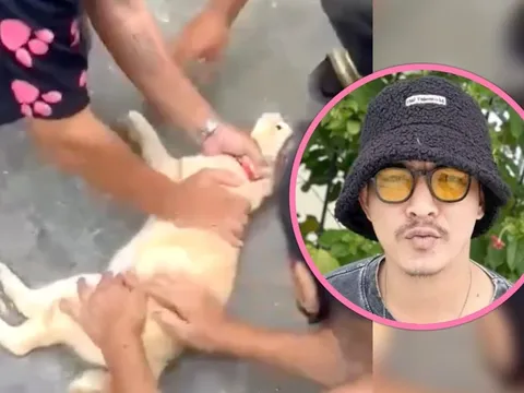 Chú mèo nhỏ bị điện giật nằm bất động giữa đường, người đàn ông lao đến làm điều khiến ai cũng cảm động