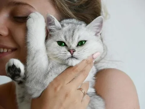 Ngày giỗ mẹ chồng, nàng dâu đưa thú cưng đi cắt móng, tỉa lông, massage thư giãn, chồng cay đắng nhận ra sự thật bàng hoàng