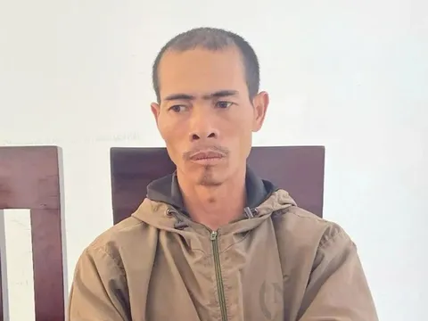 Gia Lai: Bản án dành cho gã anh rể phá hoại vườn cà phê để "đòi quan hệ với em vợ", gây thiệt hại 183 triệu đồng