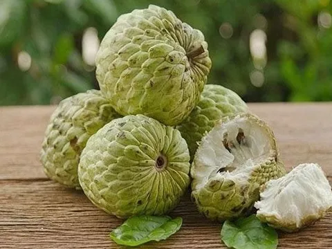 Thứ cực độc ẩn trong quả na nhưng ít ai biết: Cảnh báo nguy cơ ngộ độc, thậm chí mù lòa nếu sử dụng sai cách