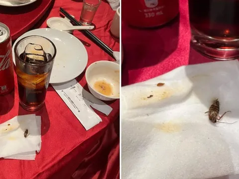 Uống Coca tưởng mát lạnh, nam thực khách bàng hoàng khi nhả ra con “tiểu cường” nguyên vẹn khiến cộng đồng mạng rùng mình