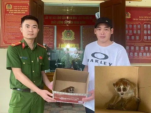 Đêm bão ở Nghệ An, người đàn ông phát hiện con vật mắt to lạ lẫm chui vào nhà, hành động sau đó khiến ai cũng khen ngợi