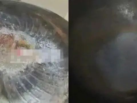 Trở về sau chuyến đi dài, người đàn ông chết lặng khi thấy bếp gas vẫn cháy suốt 27 ngày