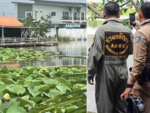 Nam thanh niên nhảy xuống ao sen để... bơi sau chầu nhậu, đuối nước thương tâm