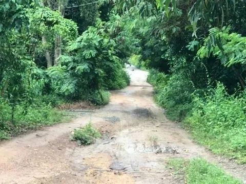 Vụ "nghịch tử" sát hại mẹ, chém chị ruột trọng thương ở TP.HCM: Công an vào cuộc