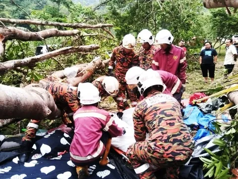 Kinh hoàng khoảnh khắc cây cổ thụ bật gốc, đè lên lều cắm trại khiến người phụ nữ tử vong trong thương tâm