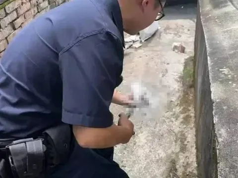 Khoảnh khắc kinh hoàng: Chó từ trong nhà xông ra cắn lìa ngón tay người đưa thư khiến cả khu phố tá hỏa