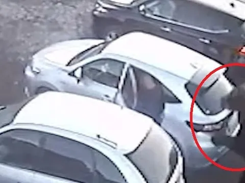 Camera ghi lại cảnh tượng kinh hoàng: Gấu đen khổng lồ lao vào tấn công khiến cụ bà 84 tuổi tử vong