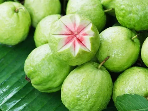 Cứ ngỡ chỉ có thuốc mới chống say xe, hóa ra những loại quả quen thuộc này lại giúp bạn thoải mái cả hành trình