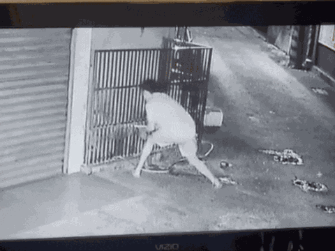 Giận dữ vì tiếng sủa của chú chó nhà hàng xóm, người đàn ông 35 tuổi gây ra thảm cảnh khiến cả cộng đồng phẫn nộ