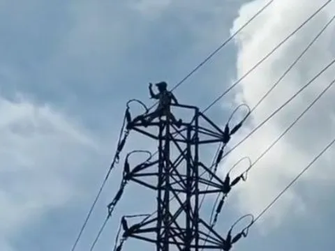Say rượu, người đàn ông trèo lên cột điện "ăn vạ" vì không đòi được... 445 nghìn đồng